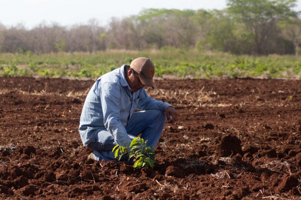 Foto-Campo-1-1024x682-1