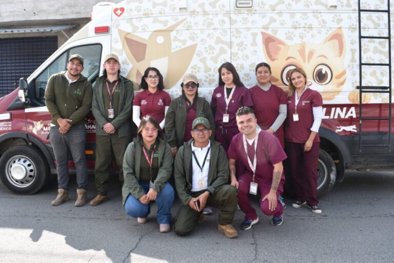 Realizan en Edomex más de 185 mil esterilizaciones gratuitas en el último año